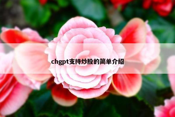chgpt支持炒股的简单介绍