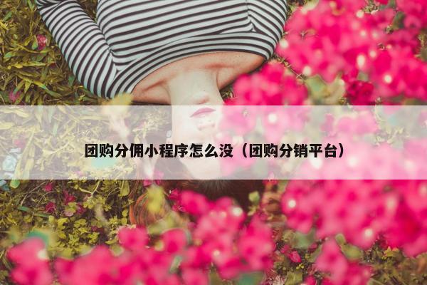 团购分佣小程序怎么没（团购分销平台）