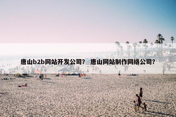 唐山b2b网站开发公司？ 唐山网站制作网络公司？