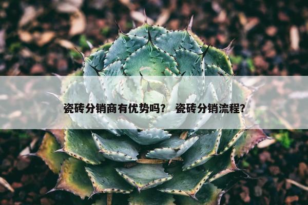 瓷砖分销商有优势吗？ 瓷砖分销流程？