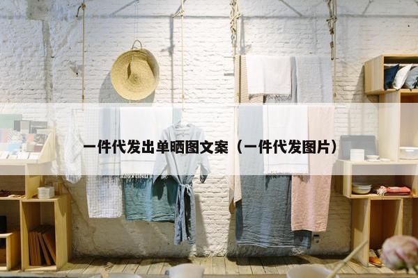 一件代发出单晒图文案（一件代发图片）