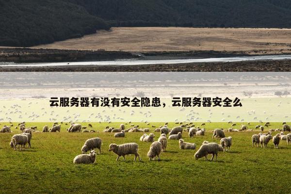 云服务器有没有安全隐患，云服务器安全么