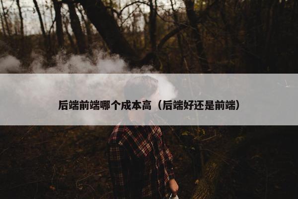 后端前端哪个成本高（后端好还是前端）