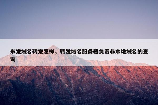 米发域名转发怎样，转发域名服务器负责非本地域名的查询
