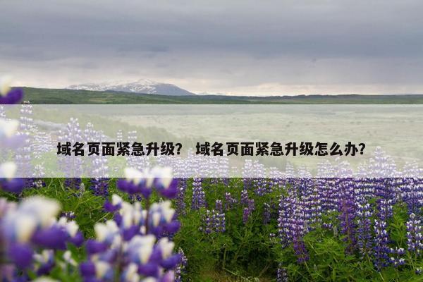 域名页面紧急升级？ 域名页面紧急升级怎么办？