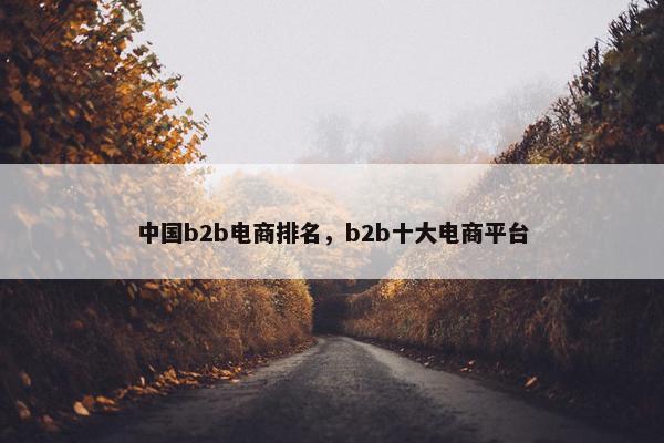 中国b2b电商排名，b2b十大电商平台
