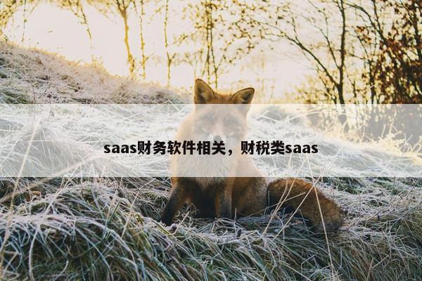 saas财务软件相关，财税类saas