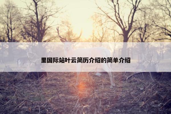 里国际站叶云简历介绍的简单介绍