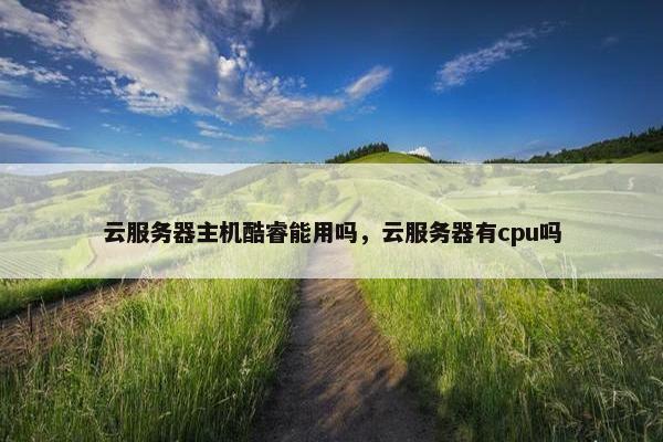 云服务器主机酷睿能用吗，云服务器有cpu吗