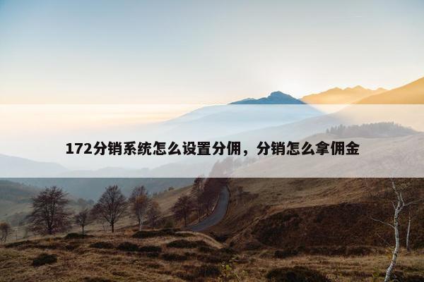 172分销系统怎么设置分佣，分销怎么拿佣金