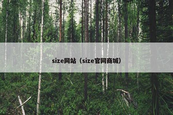 size网站（size官网商城）