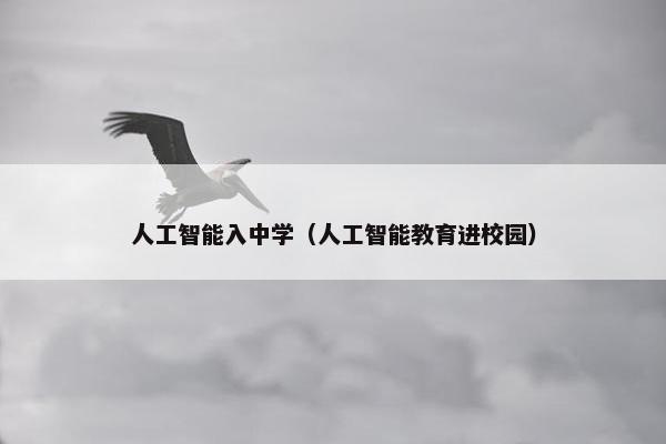 人工智能入中学（人工智能教育进校园）