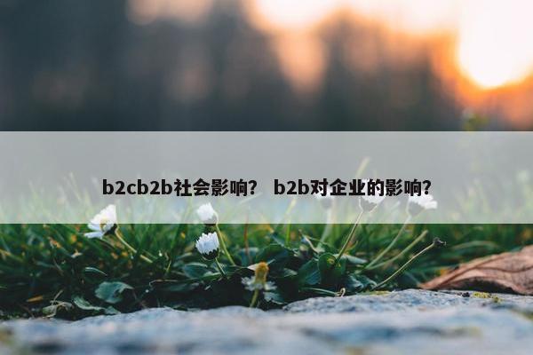 b2cb2b社会影响？ b2b对企业的影响？