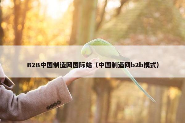 B2B中国制造网国际站（中国制造网b2b模式）