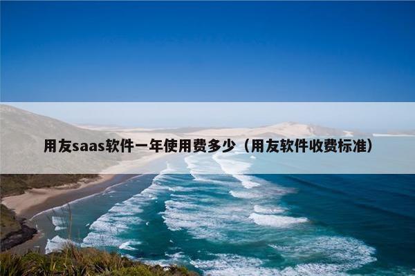 用友saas软件一年使用费多少（用友软件收费标准）