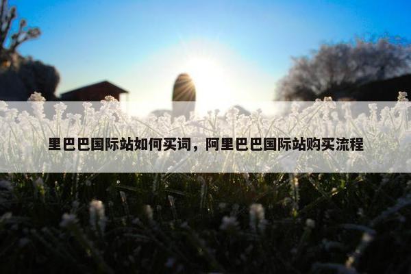 里巴巴国际站如何买词，阿里巴巴国际站购买流程