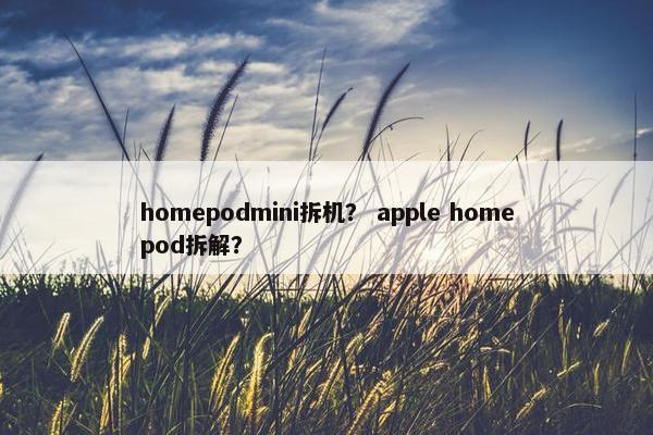 homepodmini拆机？ apple homepod拆解？