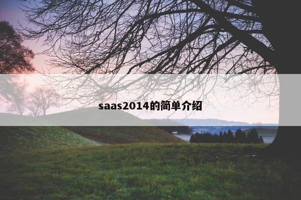 saas2014的简单介绍