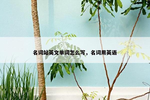 名词站英文单词怎么写，名词用英语