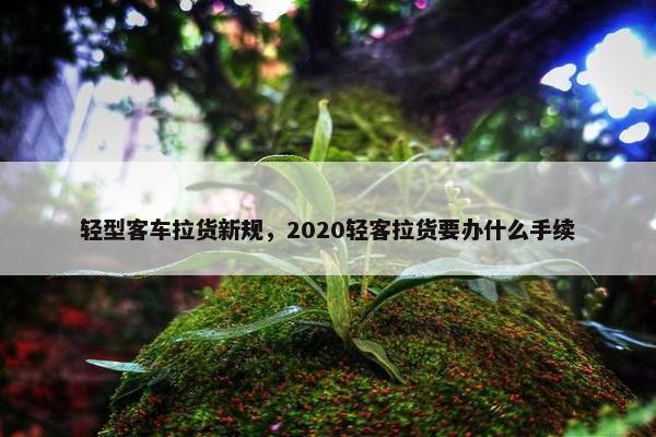 轻型客车拉货新规，2020轻客拉货要办什么手续
