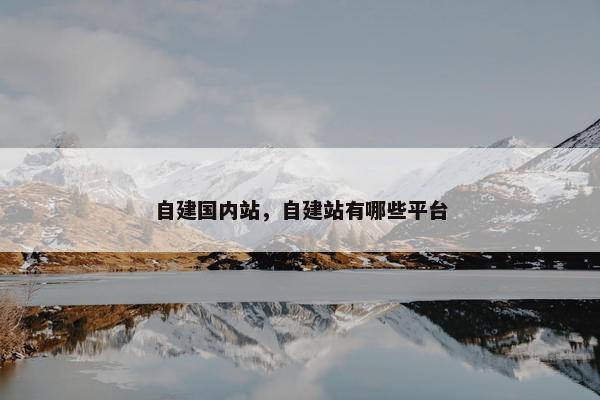 自建国内站，自建站有哪些平台