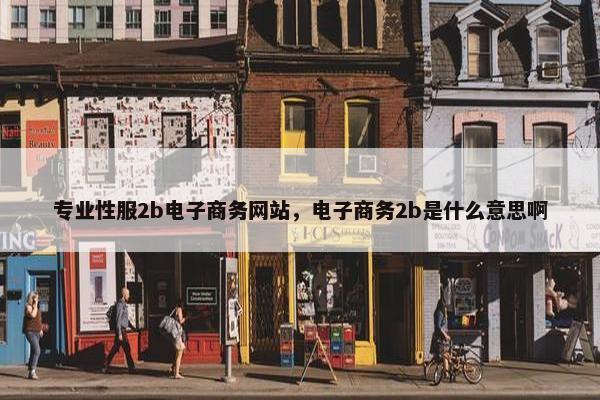 专业性服2b电子商务网站，电子商务2b是什么意思啊