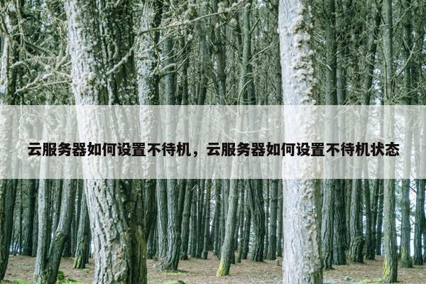 云服务器如何设置不待机，云服务器如何设置不待机状态