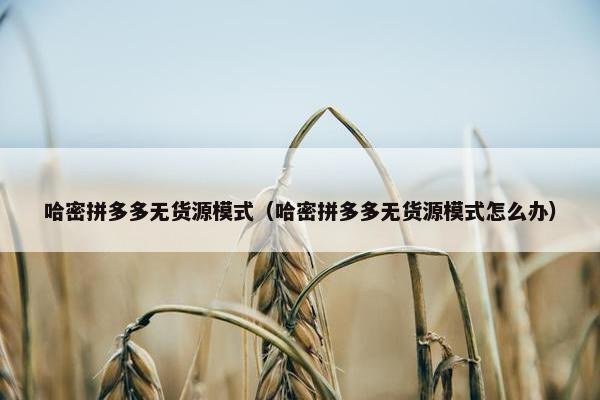 哈密拼多多无货源模式（哈密拼多多无货源模式怎么办）