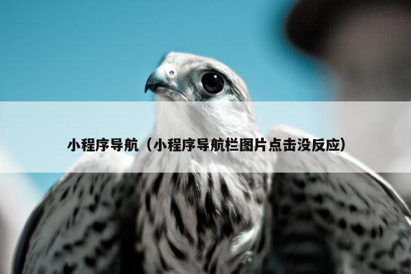 小程序导航（小程序导航栏图片点击没反应）