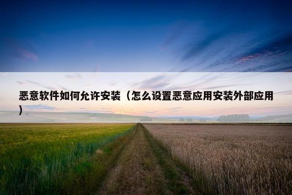 恶意软件如何允许安装（怎么设置恶意应用安装外部应用）
