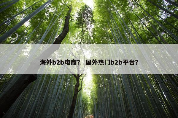 海外b2b电商？ 国外热门b2b平台？