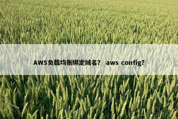 AWS负载均衡绑定域名？ aws config？
