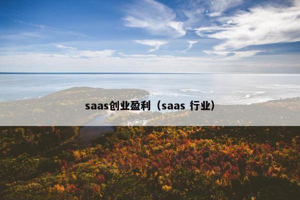 saas创业盈利（saas 行业）