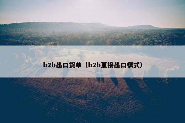 b2b出口货单（b2b直接出口模式）