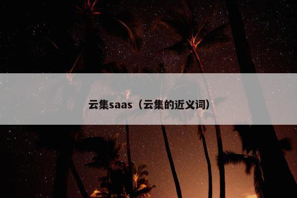 云集saas（云集的近义词）