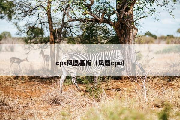 cps凤凰基板（凤凰cpu）