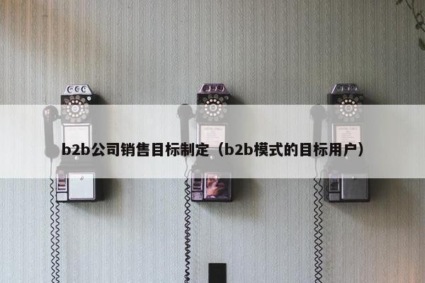 b2b公司销售目标制定（b2b模式的目标用户）