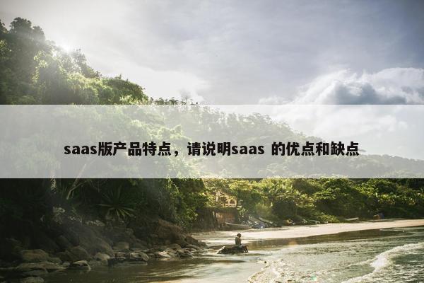 saas版产品特点，请说明saas 的优点和缺点