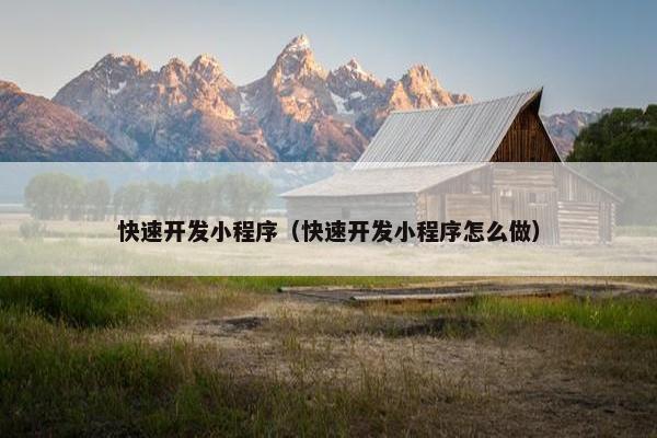 快速开发小程序（快速开发小程序怎么做）
