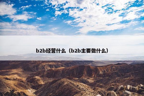 b2b经营什么（b2b主要做什么）