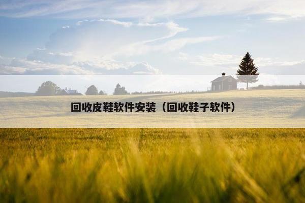 回收皮鞋软件安装（回收鞋子软件）