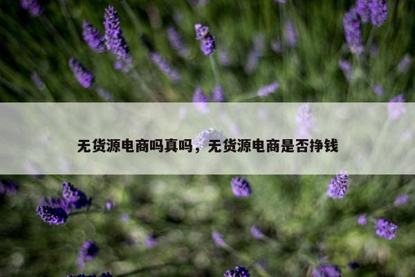 无货源电商吗真吗，无货源电商是否挣钱
