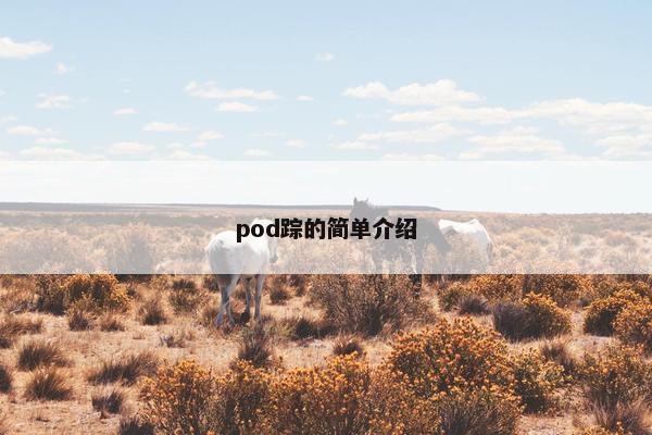 pod踪的简单介绍