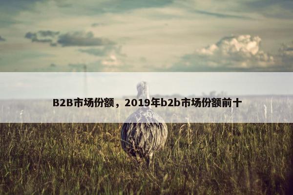 B2B市场份额，2019年b2b市场份额前十