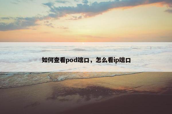 如何查看pod端口，怎么看ip端口