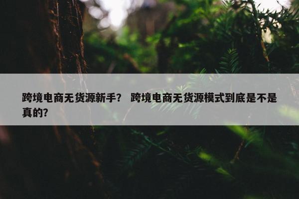 跨境电商无货源新手？ 跨境电商无货源模式到底是不是真的？