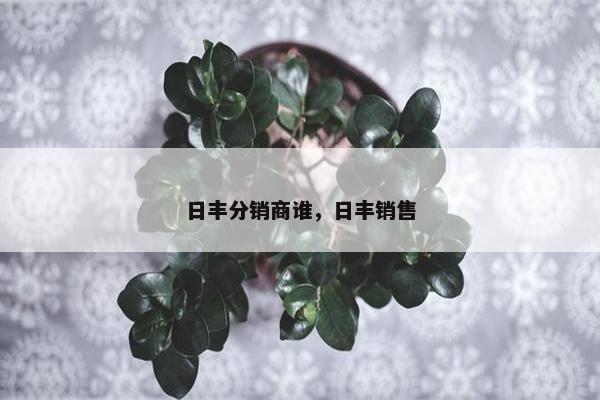 日丰分销商谁，日丰销售