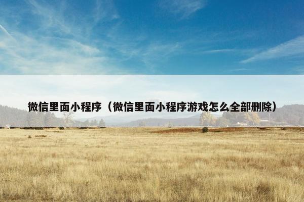 微信里面小程序（微信里面小程序游戏怎么全部删除）