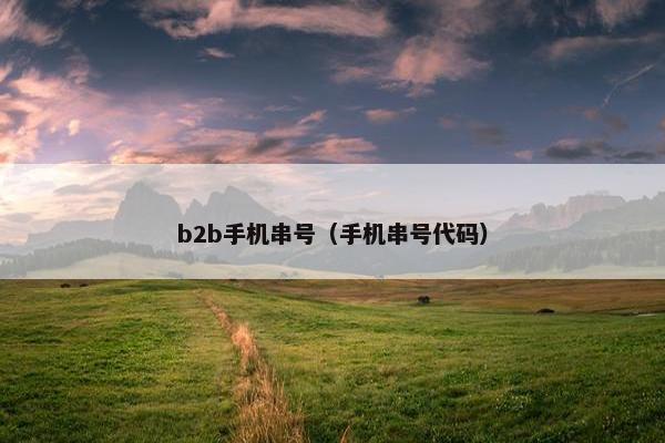 b2b手机串号(手机串号代码)