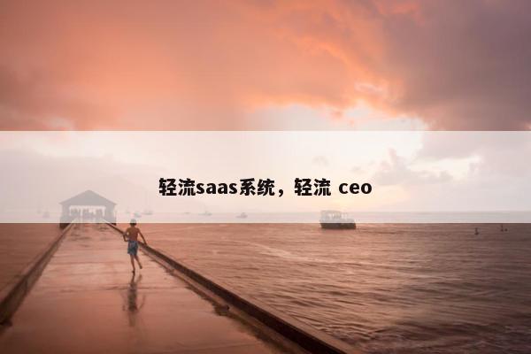 轻流saas系统，轻流 ceo